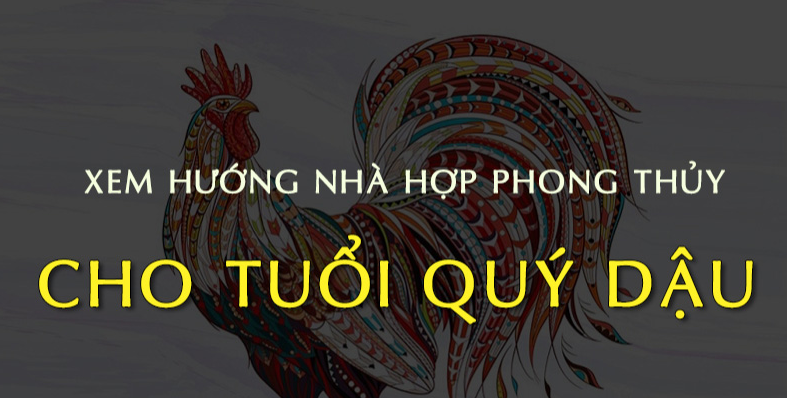Y nghia viec xem Huong Nha Hop Phong Thuy Cho Tuoi 1993